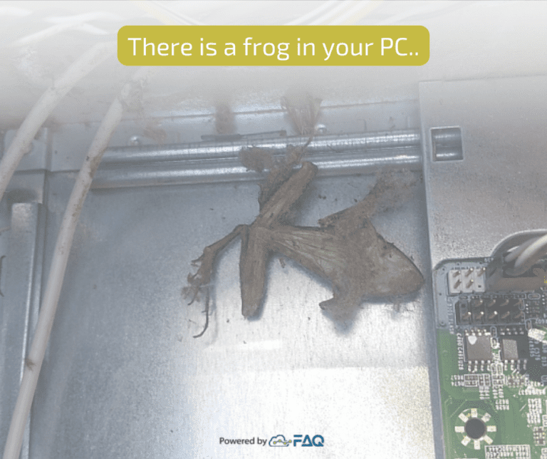 THERE IS A FROG IN THE YOUR PC